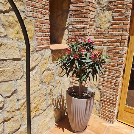 Casa Rural Del Pantano 4 Estrellas Buenache de Alarcon Exterior photo