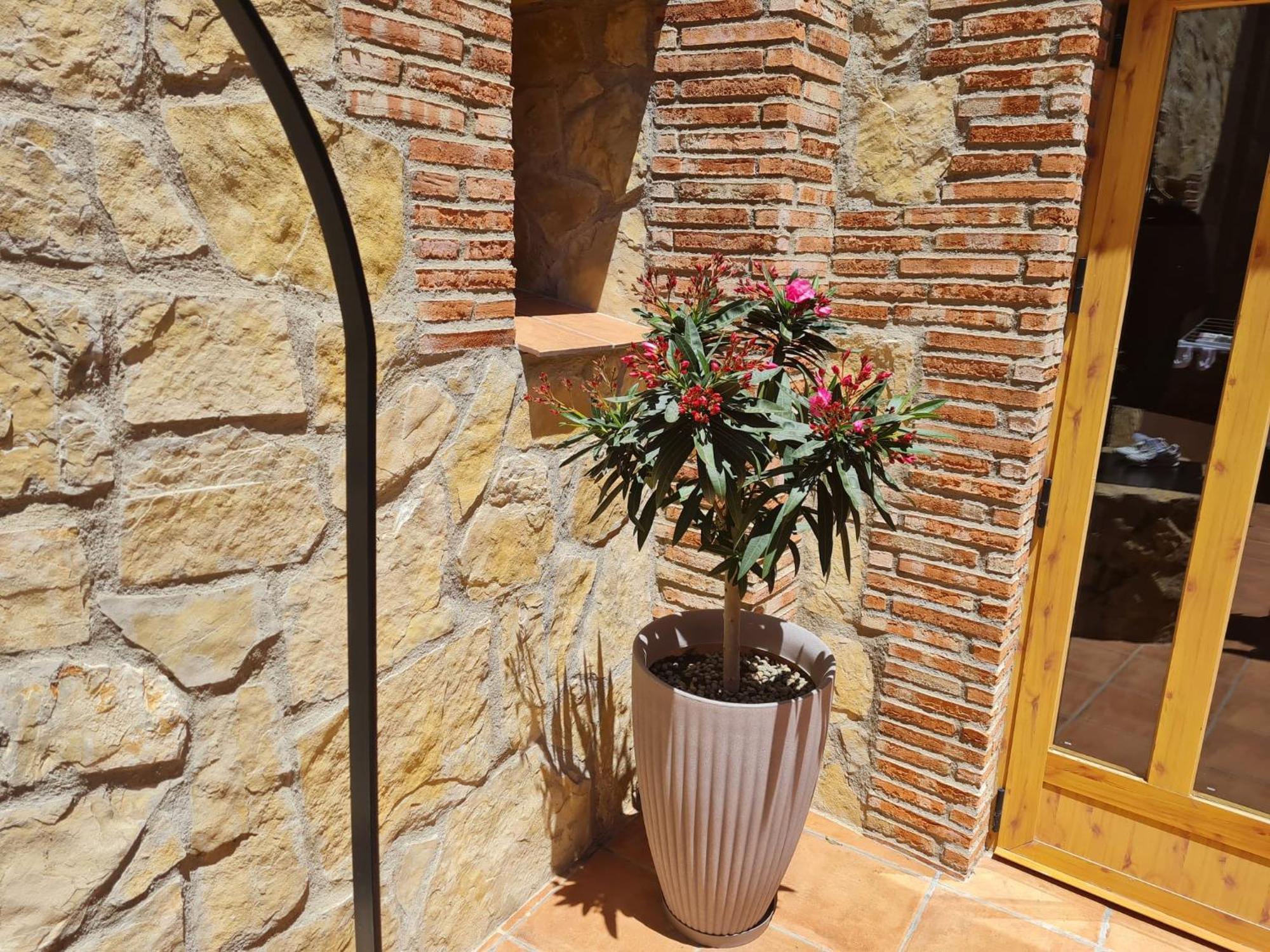 Casa Rural Del Pantano 4 Estrellas Buenache de Alarcon Exterior photo